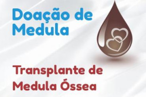 Transplante de Medula ssea
